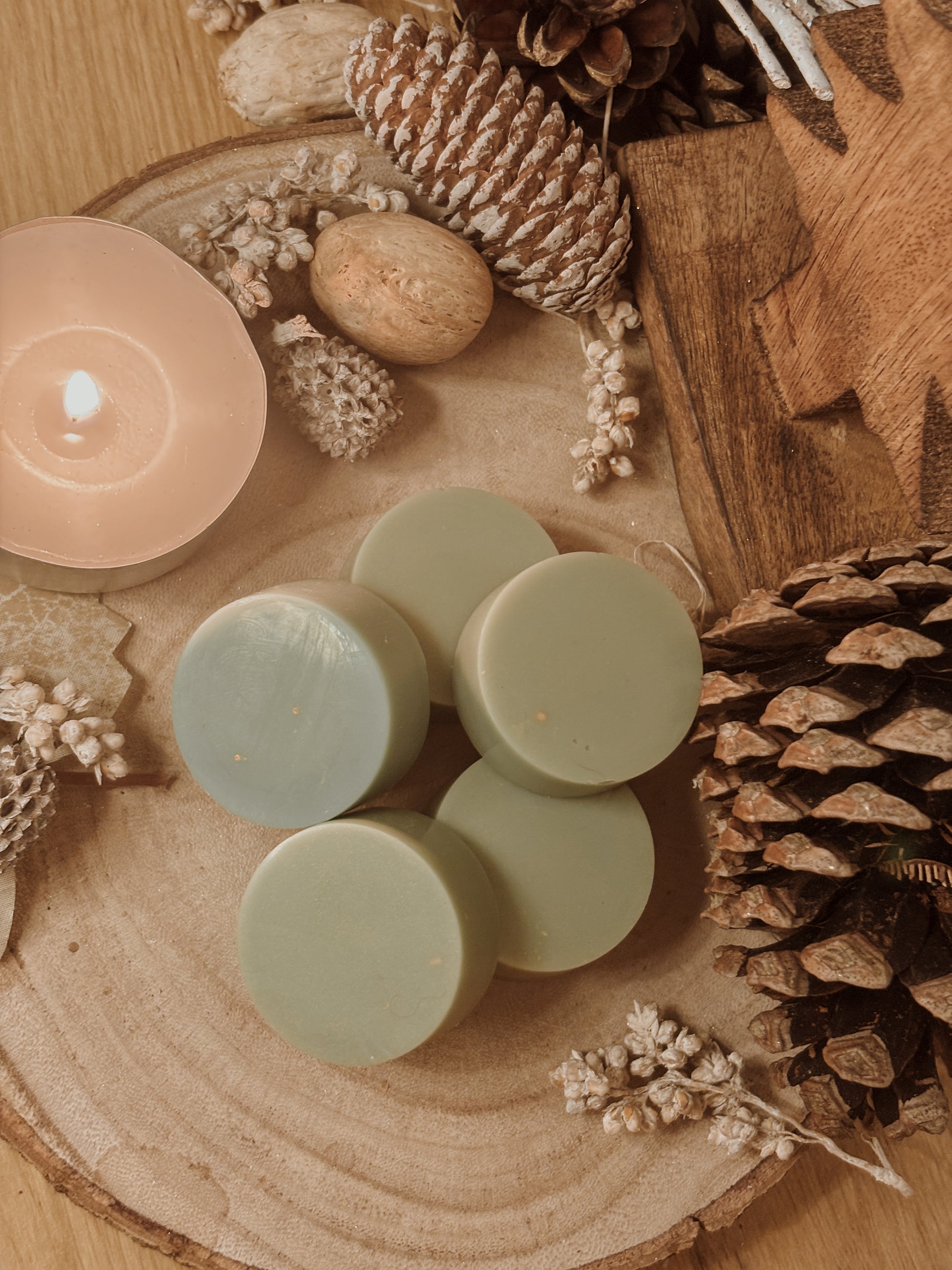 Fondants parfumés Balade en forêt Palets