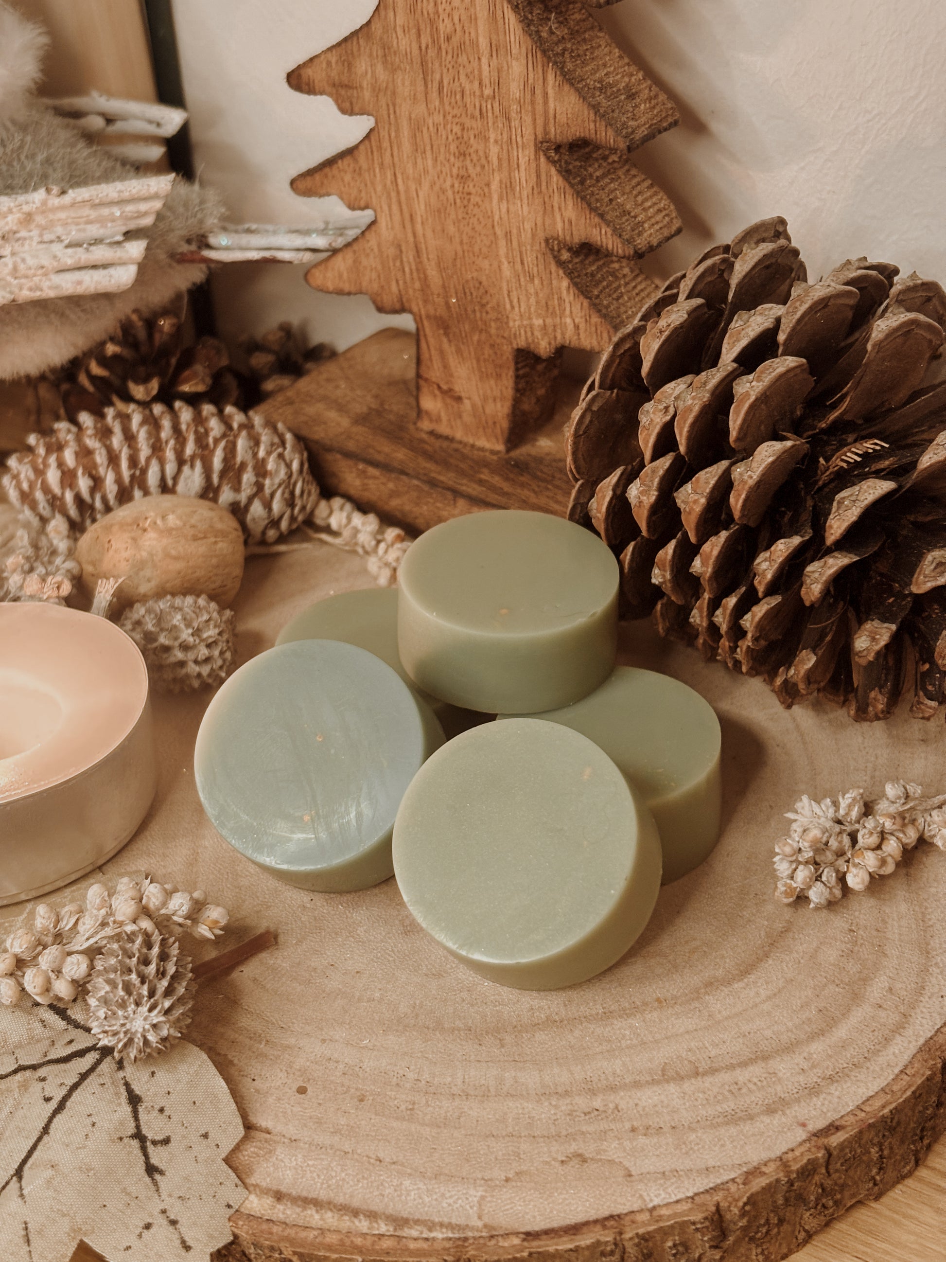 Fondants parfumés Balade en forêt Palets